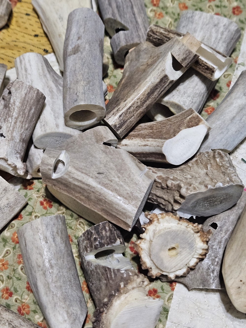 Natural Deer Antler Whistles?Accents? Cut And Drilled – Neutral Gray/Brown - Picture 13 of 16